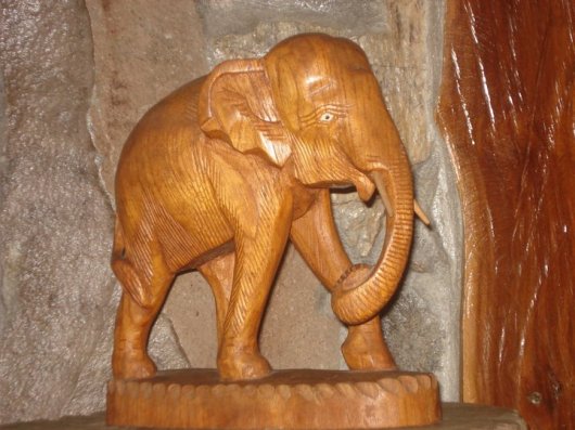 Elephant.