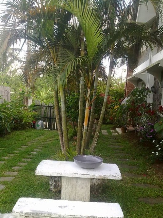 Picnic table next to side driveway.
